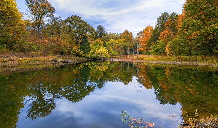 view-of-tree-lined-river-reflecting-the-sky